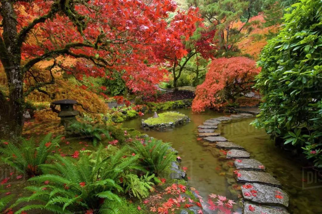 驚艷！這對夫婦將采石場改造成全球最大私家花園|2019年世界花園大會嘉賓