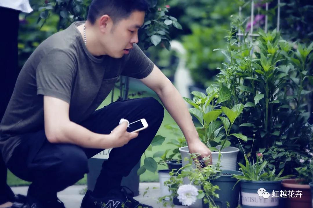 史上最硬核花園主，是怎樣拿下三年繡球比美冠軍的？